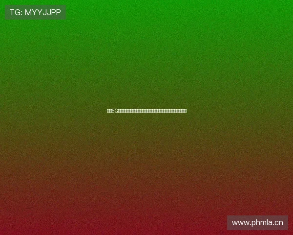 畅享5G大流量号卡全面升级超值套餐与高速网络体验指南优惠活动解析